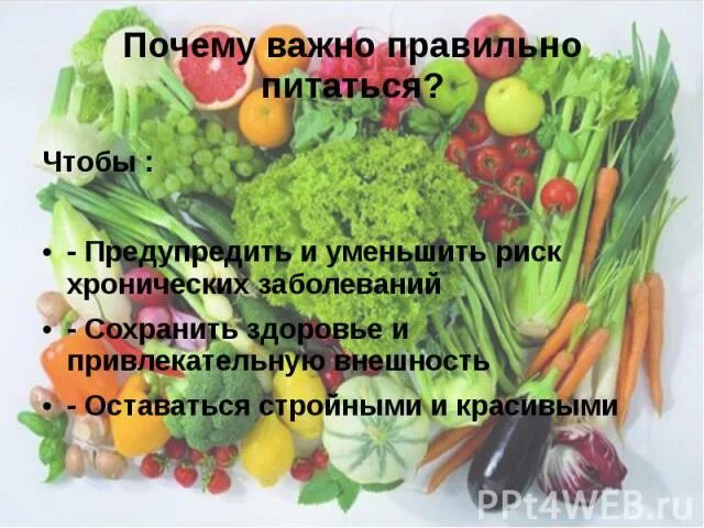 Почему пища необходима человеку. Почему так важно правильно питаться. Почему правильно питаться. Почему важно правильное питание. Почему нужно правильно питаться.