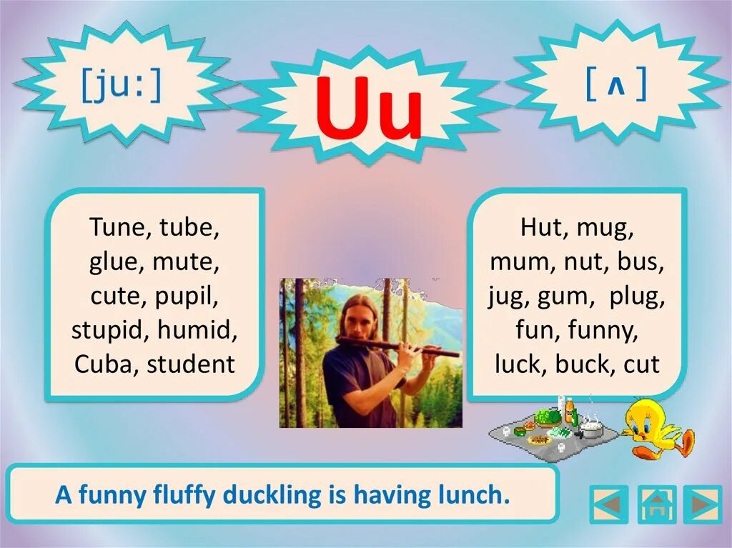 Чтение uu в английском. Звук u в английском языке. Чтение буквы uu в английском языке. Правила чтения uu в английском языке.