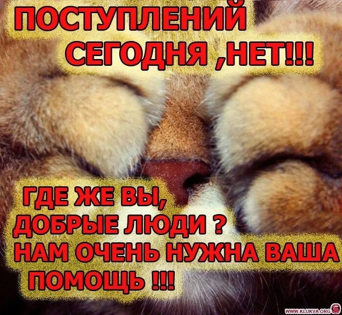 Сбор стоит. Поступлений нет. поступлений сегодня нет. сбор стоит помогите. поступлений не было.