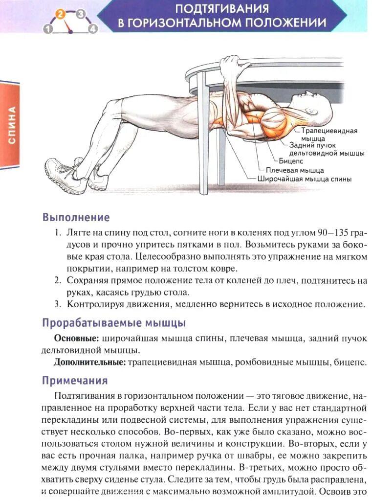 Горизонтальное положение это как. Верхние грудные мышцы упражнения с собственным весом. Горизонтальное положение. Горизонтальное положение тела. Стоять в горизонтальном положении.