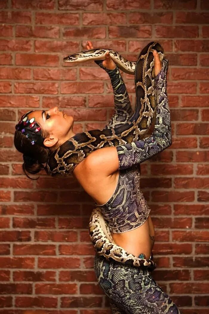 Девушка и питон. Образ змеи. Фотосет с питоном. Костюм змеи.