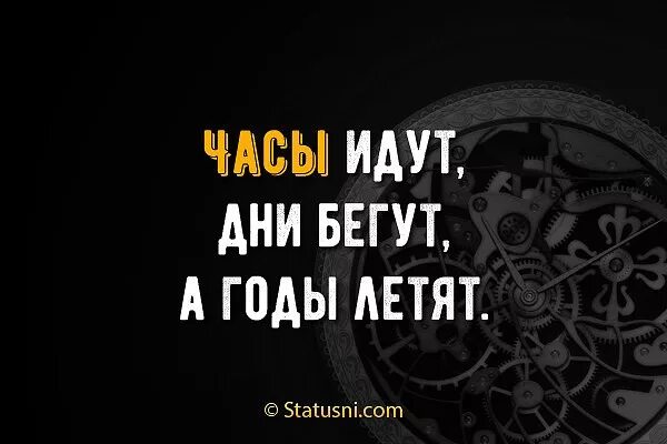 Шел шел и полетел. Года бегут высказывания. Часы идут дни бегут а годы летят. Бегут года цитаты. Время летит.