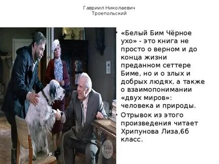 Белый бим отрывок