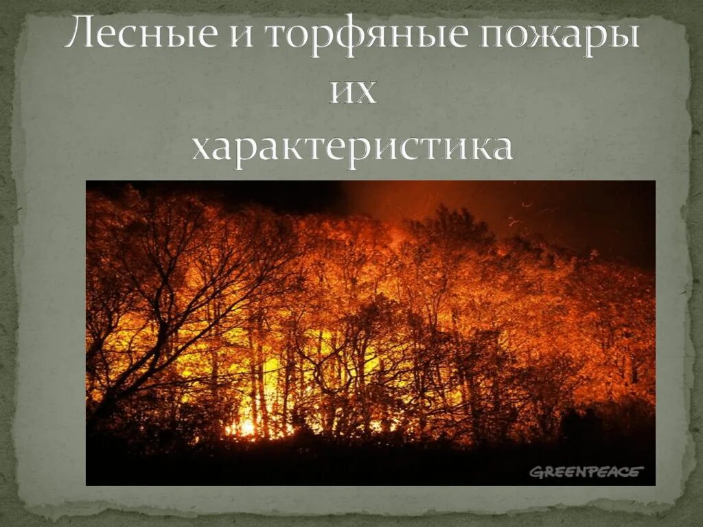 Пожары верховые низовые торфяные