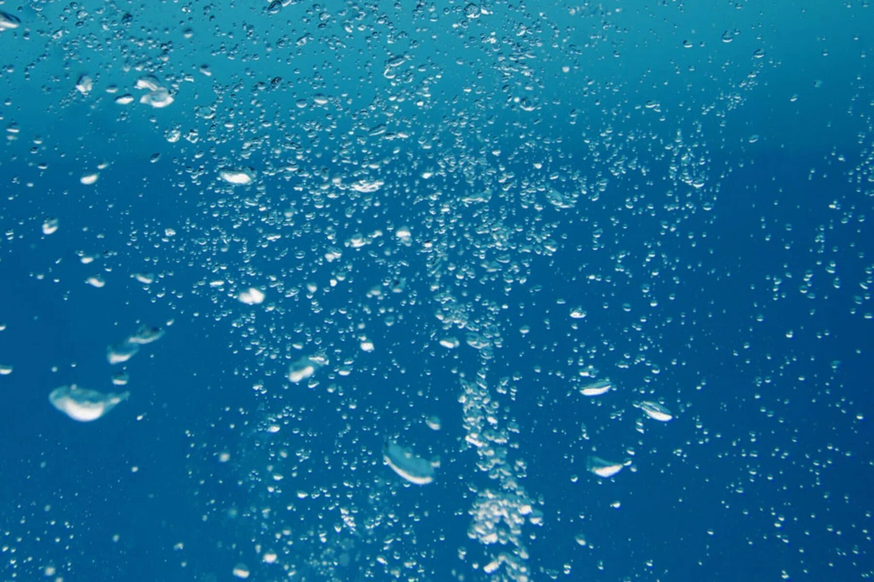 Акулы боятся пузырьков воздуха. Пузыри под водой. Вода фон. Текстура воды. Пузыри в море.