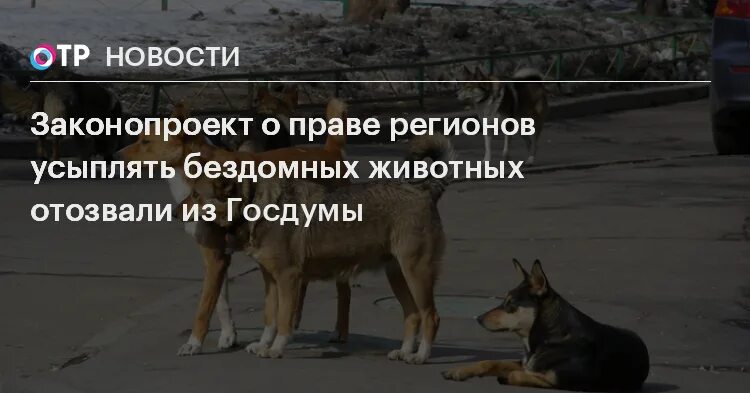 закон животных 2018. закон о животных 2020. закон о защите бездомных животных. закон животных 2018. закон животных 2018.