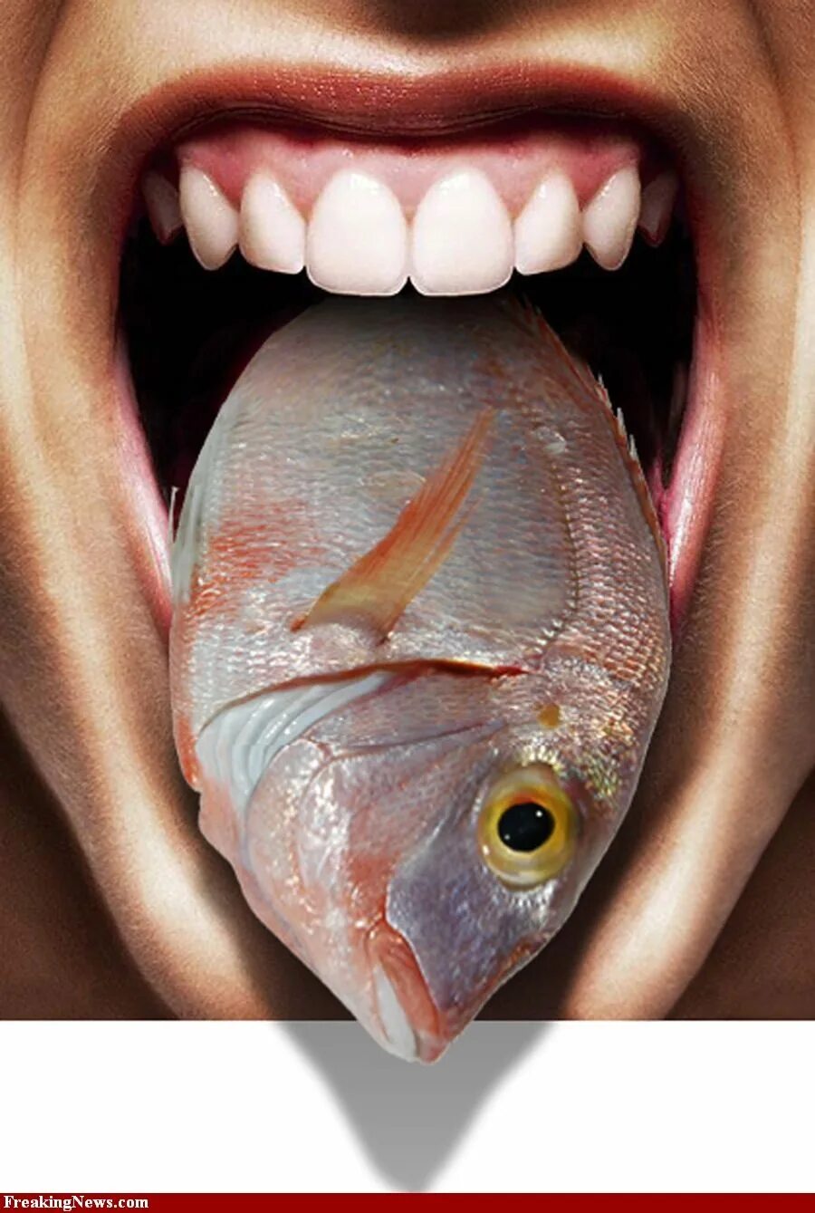Рыбка открывает рот. Рыба с губами.