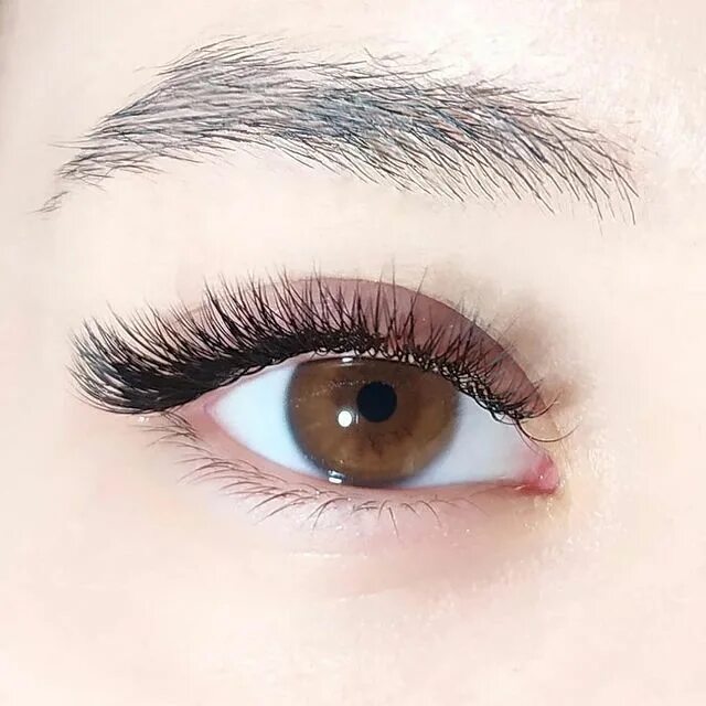 наращивание ресниц алтуфьево. реснички 2021. 12d ресницы. наращивание ресниц алтуфьево. ресницы 2д кукольный беличий эффект.