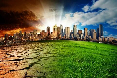Environment in your region