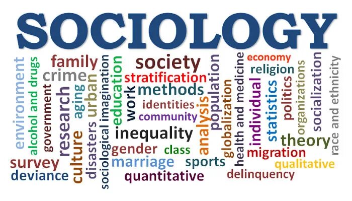 Sociology of constitutions. What is sociology. Социология. Социология надпись. Социология.