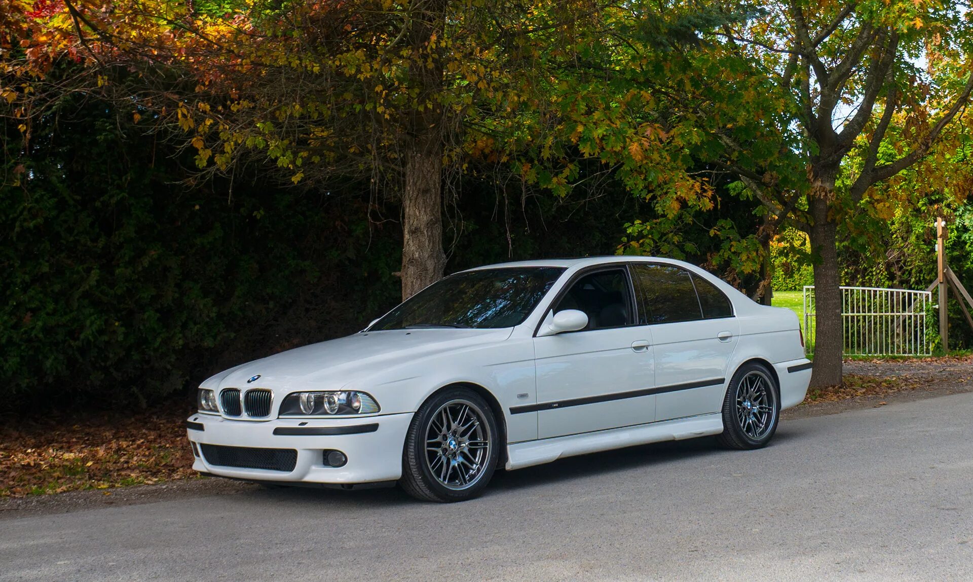 Разбор е46 москва. BMW e39 белая. BMW m5 e39 White. BMW 5 е39. БМВ 530i е39.