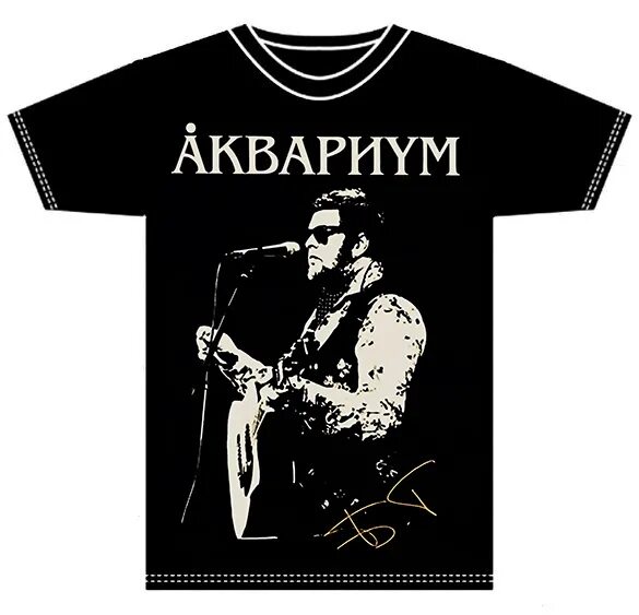 Караоке гребенщиков хочешь