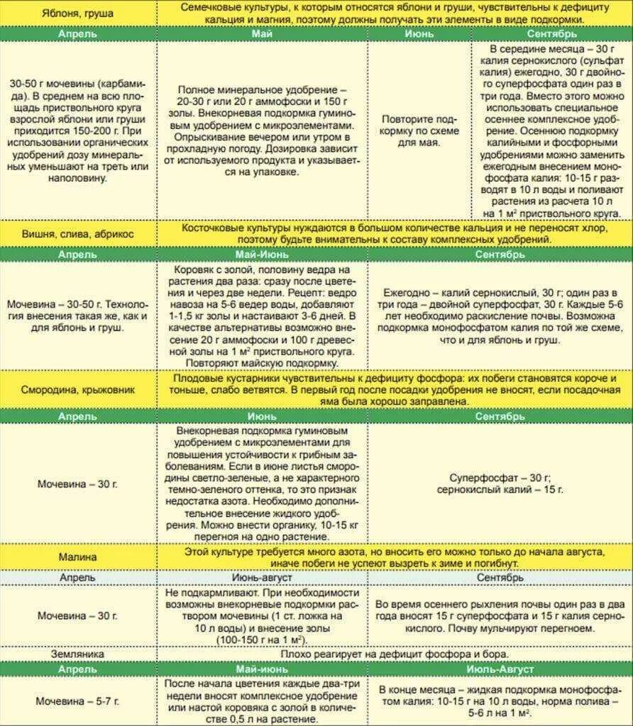 В какое время можно подкармливать. Нормы внесения удобрений для плодовых деревьев. Схема внесения удобрений для плодовых деревьев и кустарников. Таблица подкормки плодовых деревьев. Таблица подкормки деревьев плодовых деревьев.