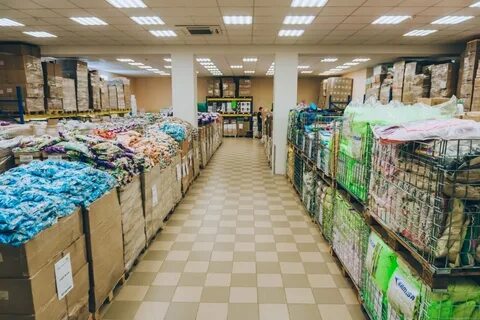 Светофор светлогорск