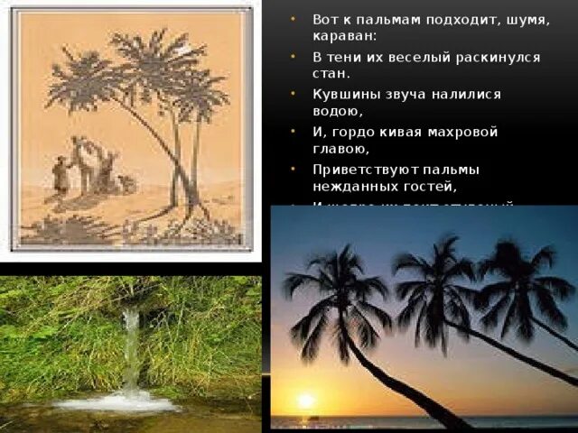Три пальмы найти метафоры. Вот к пальмам подходит шумя караван в тени их веселый раскинулся стан. вот к пальмам подходит, шумя,. три пальмы кувшины звуча налилися водою. вот к пальмам подходит шумя караван иллюстрация.