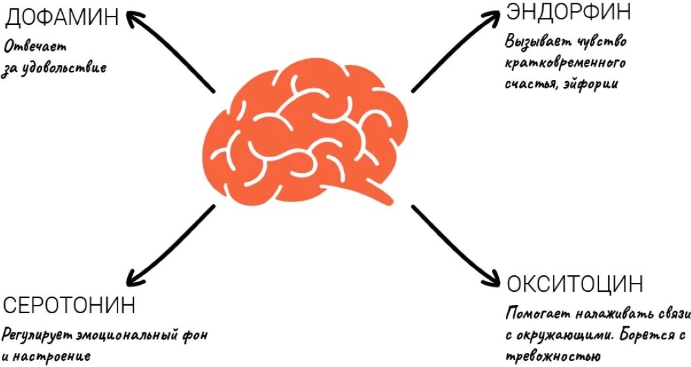 Мозг вырабатывает эндорфины. Дофамин серотонин Эндорфин окситоцин. Гормон счастья и удовольствия. Дофамин гормон счастья. Дофамин радость.