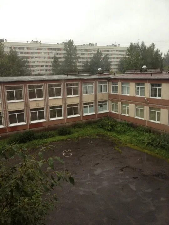 Школа номер 83 воронеж. 83 школа ульяновск. Школа 83 волгоград. Школа 83 телефон. Школа 83 телефон.