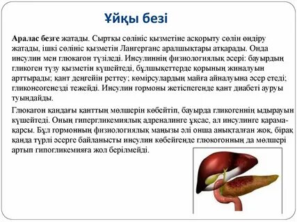 BBWs көрсететін сыртқы порно бейнелер