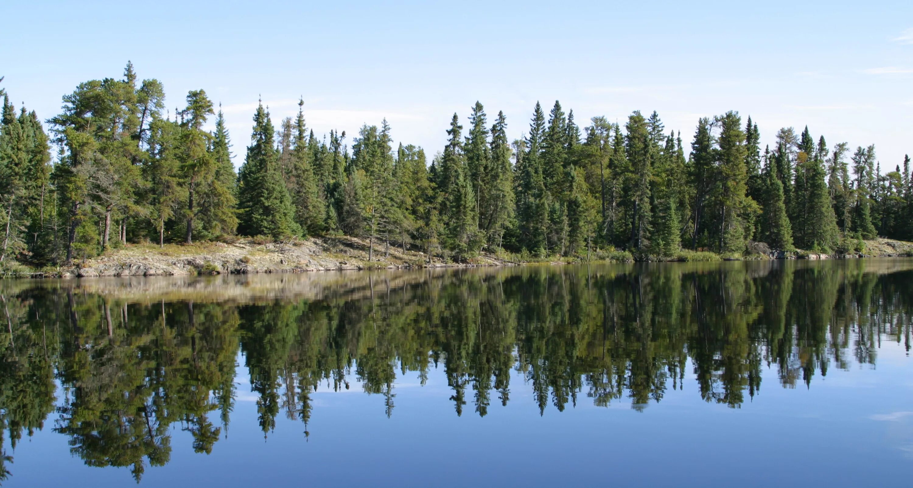 Средняя глубина озера онтарио. Озеро Онтарио. Алгонкинский парк Канада. Антартоозеро Онтарио. Озеро Онтарио животные.