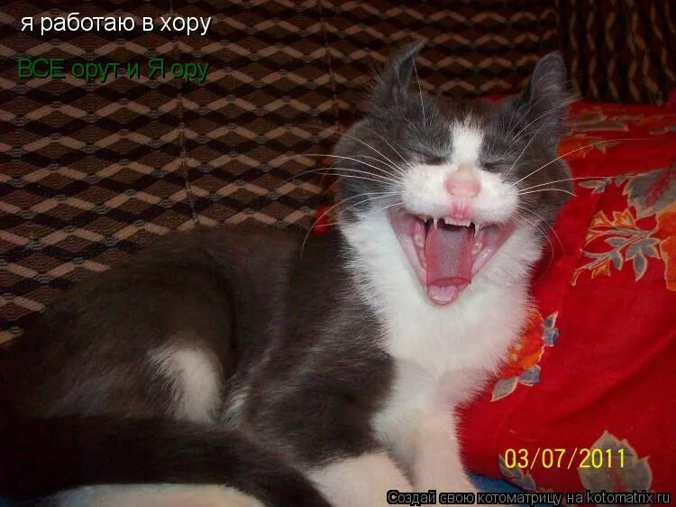 просто я работаю волшебником. песня я буду работать. винил 1990. я работаю волшебником ноты. шарлот я никогда не буду.