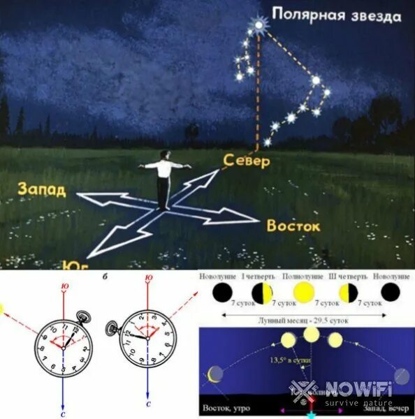 Часы определяют местоположение. Ориентирование на местности по солнцу и звездам. Ориентирование по солнцу Луне звездам. Ориентирование на местности по Луне и солнцу. Способы ориентирования по солнцу и звездам.