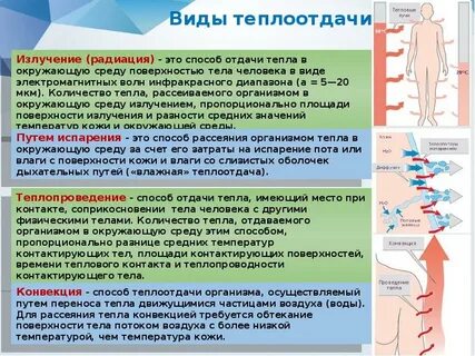 Среда тепла