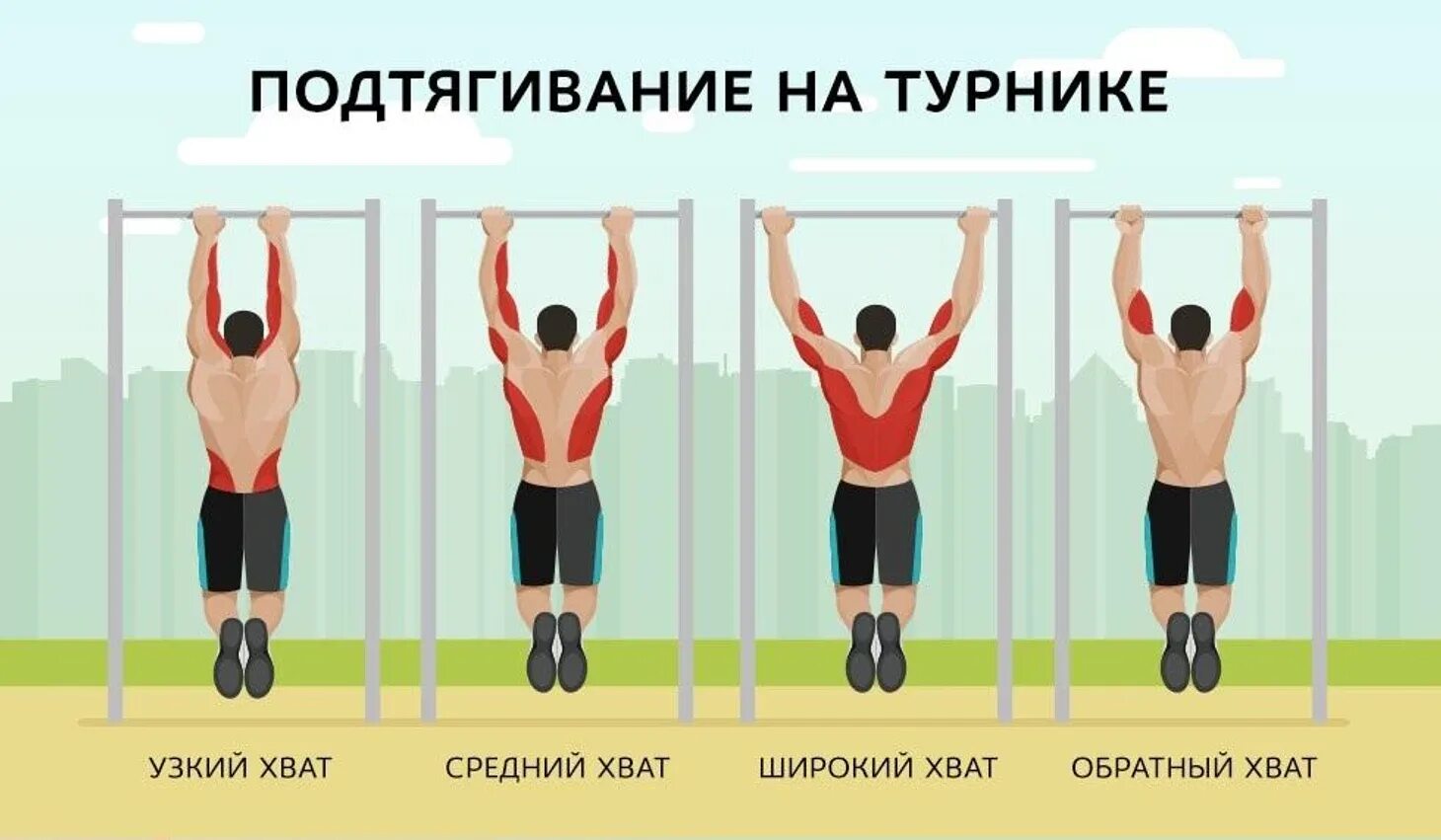 Какие мышцы работают при подтягиваниях обычным хватом. Какие мышцы качаются на турнике разными хватами. виды подтягиваний на турнике. какие мышцы работают при подтягивании. подтягивания на турнике группы мышц.