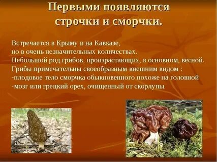 Какие строчки можно есть