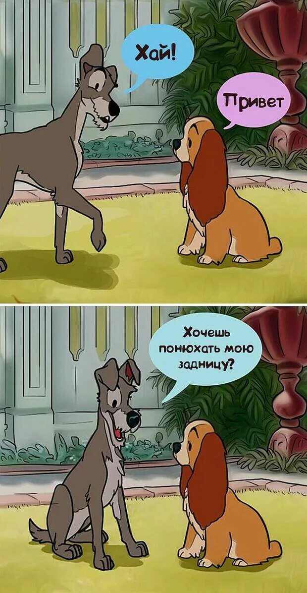 Логика в мультиках. Леди и бродяга комикс. логика в мультфильмах. леди и бродяга в реальной жизни. логика в мультфильмах дисней.