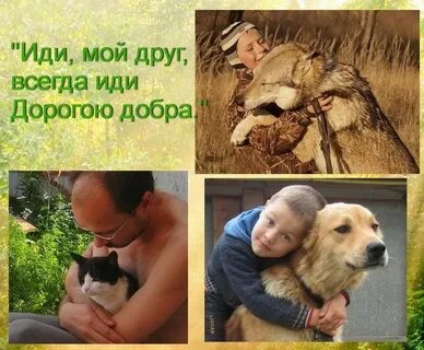 Или мой друг всегда иди дорогою добра
