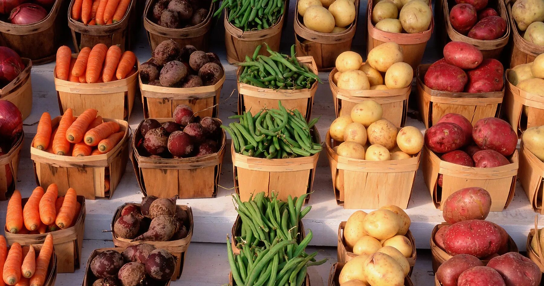 Foods import. Foods import. Баннер продукты питания. Ancor consumer goods. Foods import.