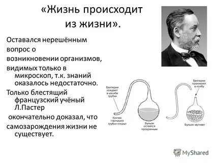 Гипотеза пастера