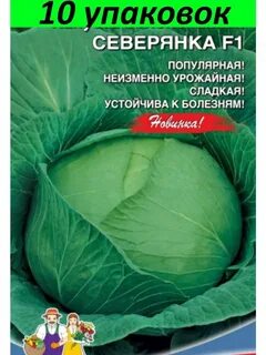 Сладкая капуста сорт