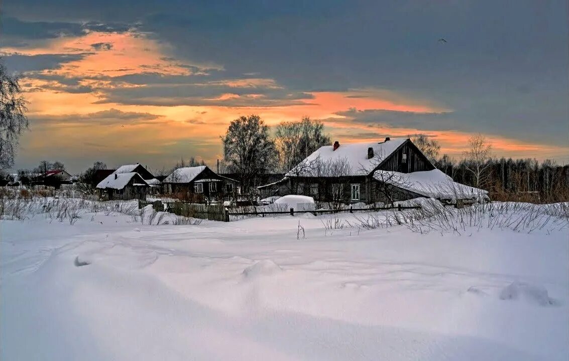 Что садиться на зиму. Что садиться на зиму