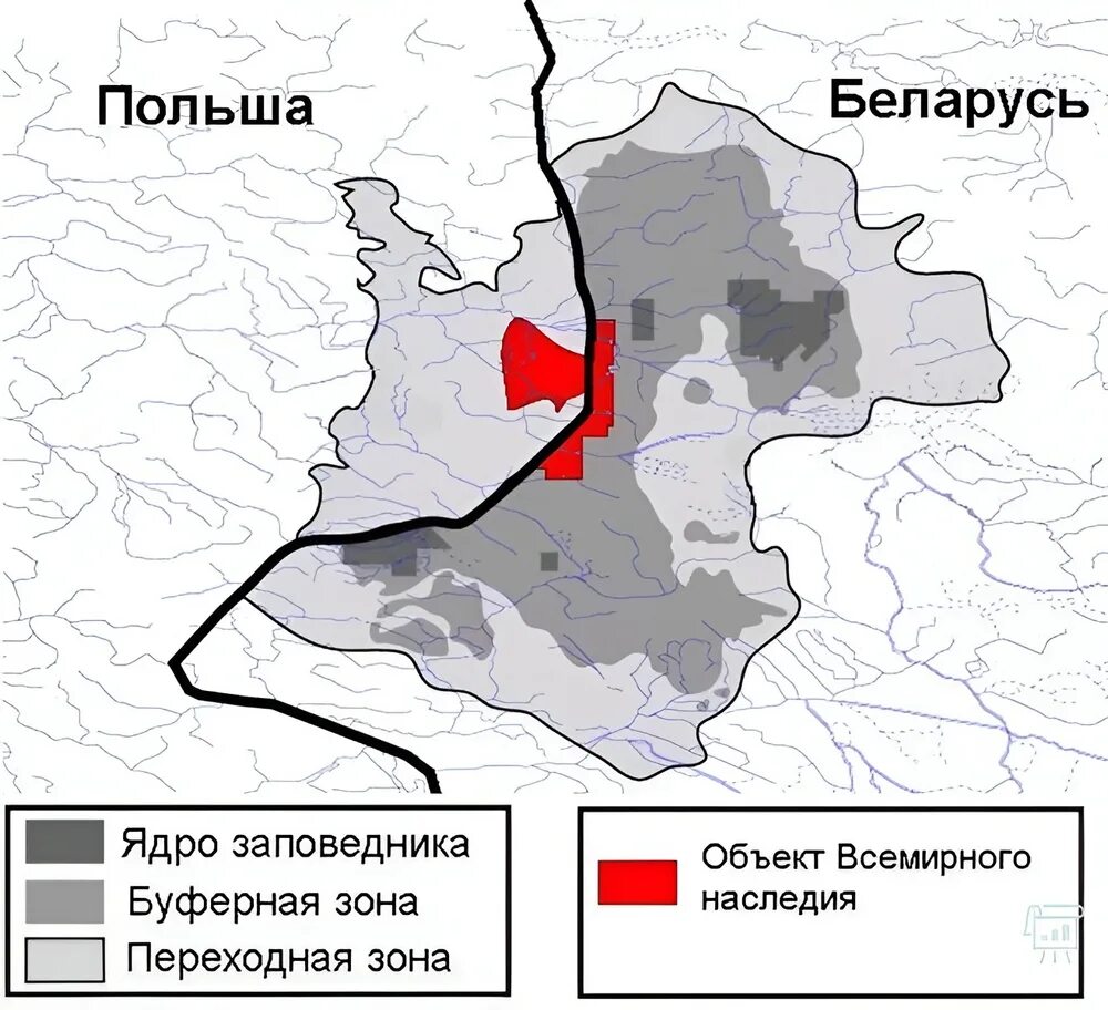 Границы Беловежской пущи на карте Беларуси. Границы Беловежской пущи на карте. Беловежская пуща границы заповедника на карте. Беловежская пуща заповедник на карте Белоруссии.