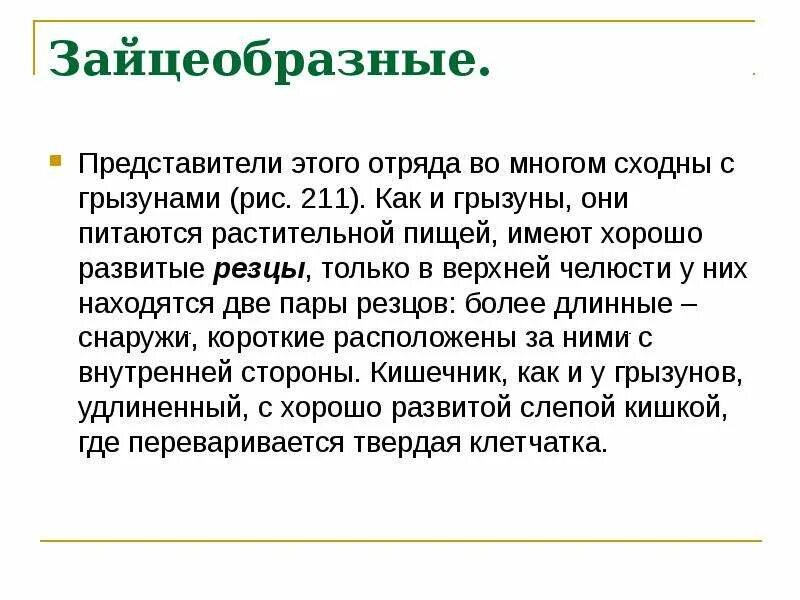 Млекопитающие отряд зайцеобразные. Млекопитающие отряд зайцеобразные