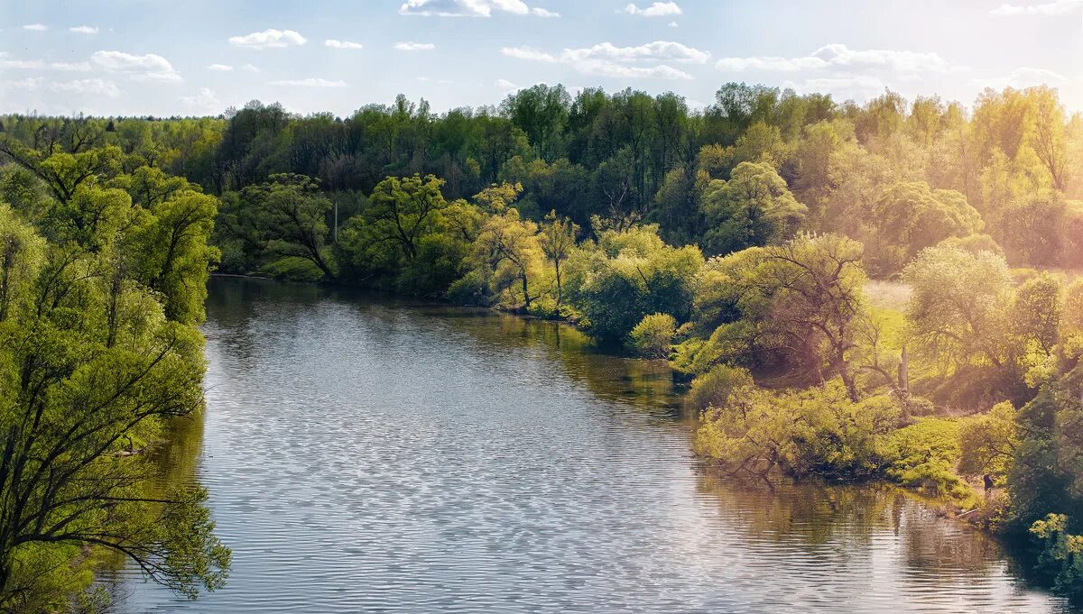 растения и животные реки нара