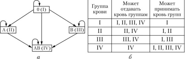 Переливание крови по группам крови схема. Таблица переливания крови по группам. Схема совместимости групп крови при переливании. Схема переливания групп крови.