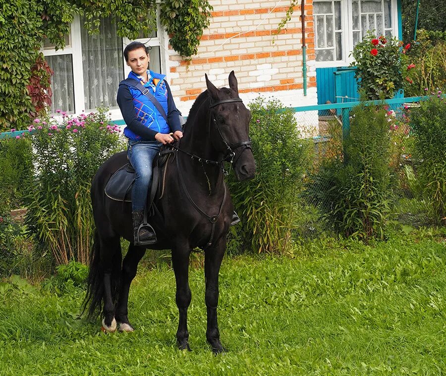 Почтальон на лошади. Почтальонша на коне. Русский наездник