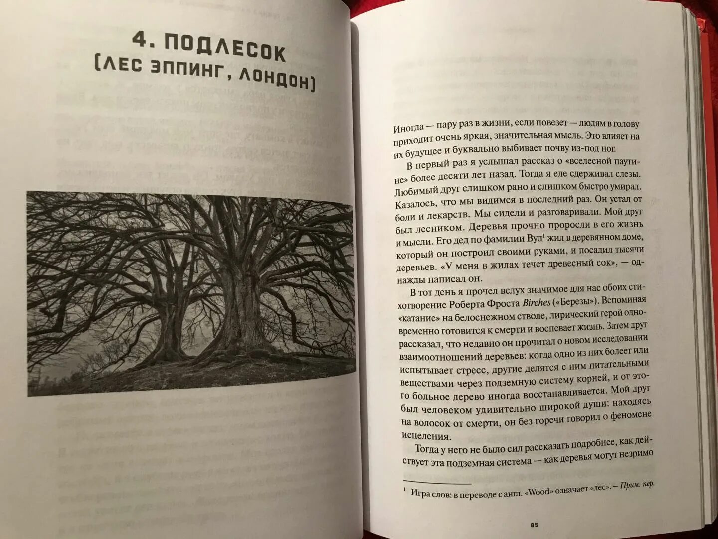 Письмо другу в глубь земли. Путешествие в глубь земли. Опишите путешествие в глубь земли. Творческая работа путешествие в глубь земли. Сочинение вглубь земли.