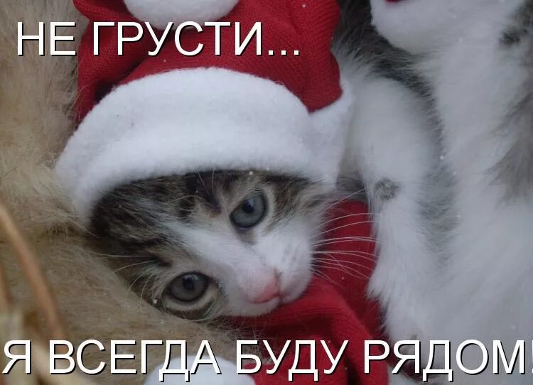 Всегда быть милым