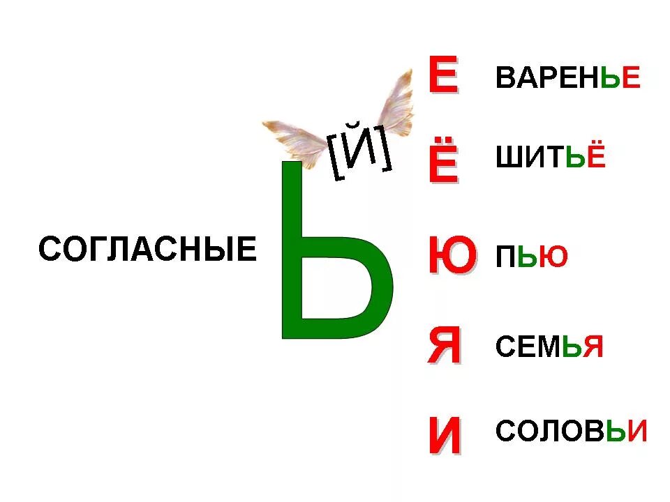 Е после согласных. Слово е ь ее. Буква ь для детей. Слово е ь ее. Употребление разделительных ъ и ь знаков.