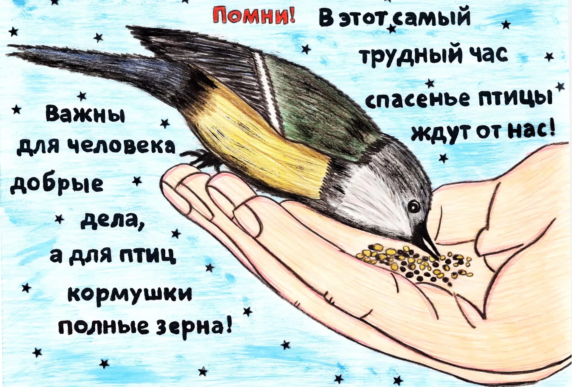 Спасите птиц. Плакат на тему Покорми птиц!. Покормите птиц зимой. Слоган птицы