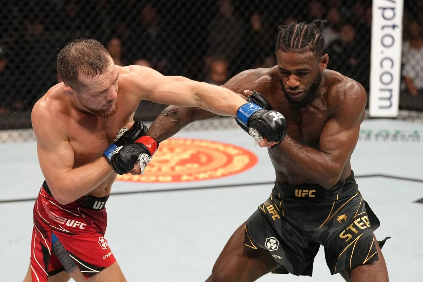 каримов боец. битва реванш 10. диллиан уайт поветкин. алджамейн стерлинг. 03.