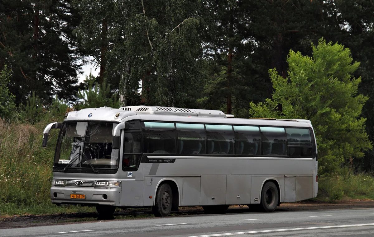 Г железногорск красноярский край автобус. Kia Granbird Приморский край автобус 504. Кия Грандберд. Автобус Приморский край Киа Исток-МД. Автобус 59 Красноярск.