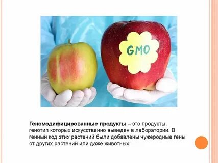 Гмо презентация по биологии 11 класс