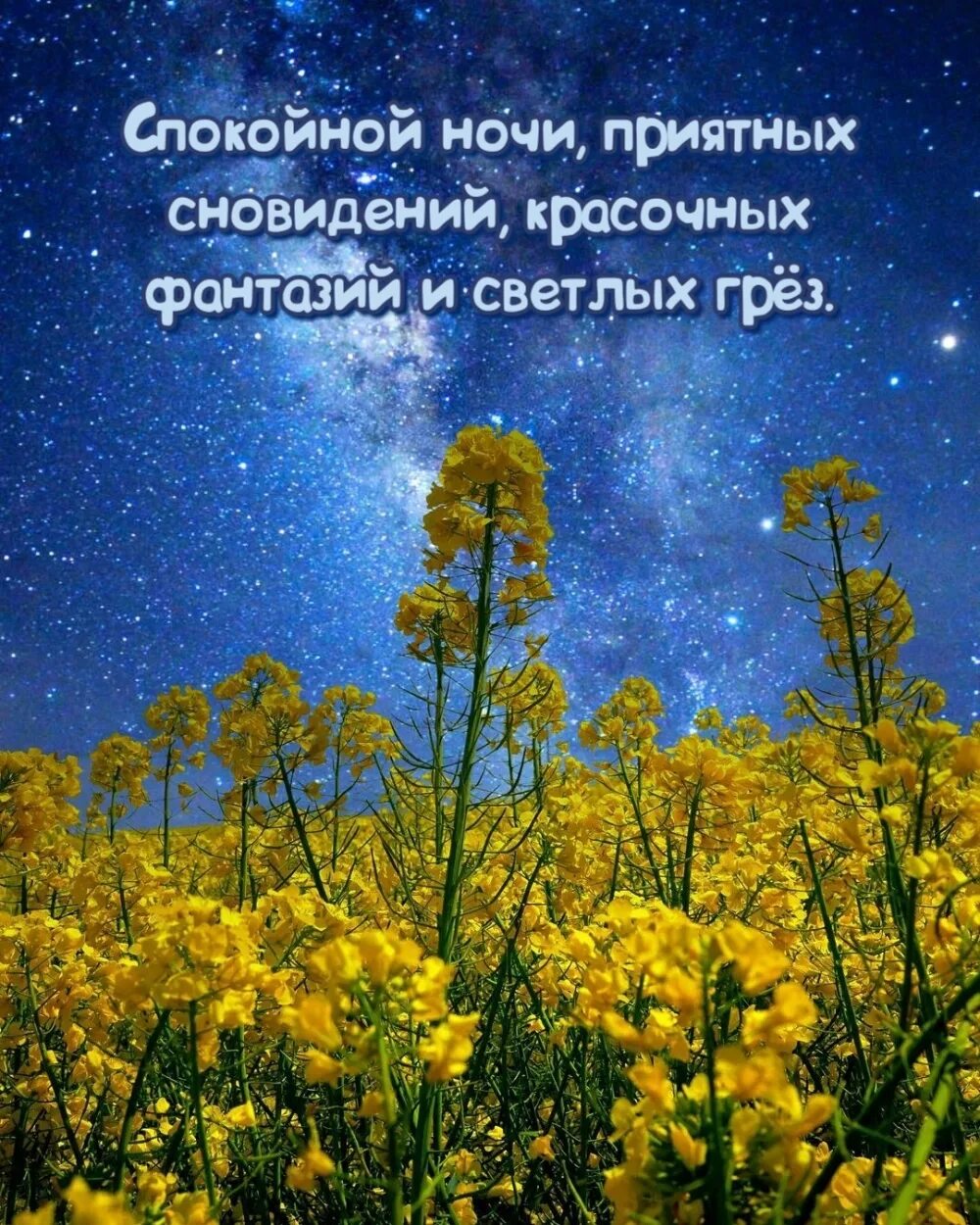 Весеннего спокойного сна. Спокойной весенней ночи. Доброй ночи картинки. Христианские пожелания на ночь.