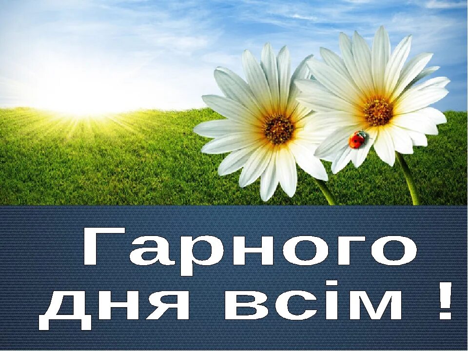 Открытки на украинском языке с добрым. Доброго ранку гарного дня. Доброго дня на украинском. Открытки доброго ранку. Открытки с добрым утром на украинском языке.