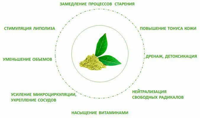 Польза зеленого чая для организма мужчины. Польза зелёного чая для организма. Зелёный чай польза. Экстракт зеленого чая для похудения. Свойства зеленого чая.