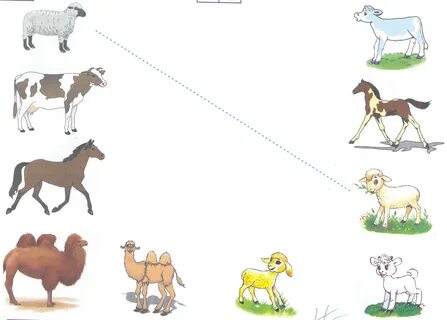 Ресей жұлдыздарымен порно